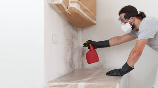 Professional Attic Mold Remediation technician working in Alva, FL